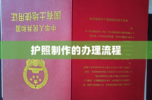 新民护照制作的办理流程