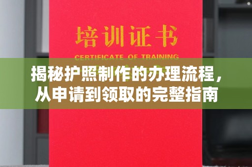 新民揭秘护照制作的办理流程，从申请到领取的完整指南
