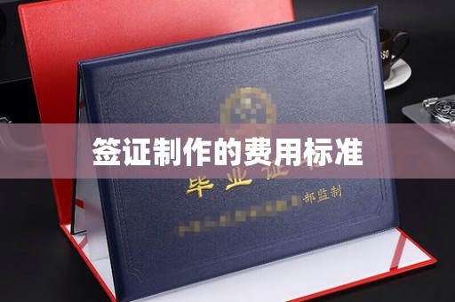 新民签证制作的费用标准