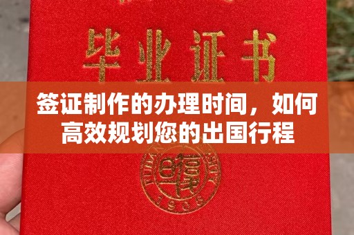 新民签证制作的办理时间，如何高效规划您的出国行程