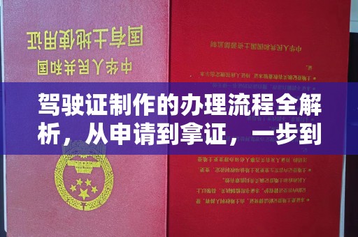 新民驾驶证制作的办理流程全解析，从申请到拿证，一步到位！