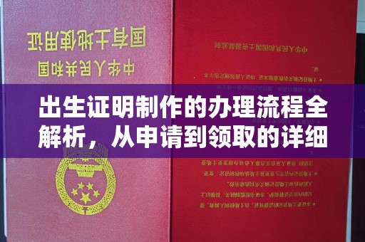 新民出生证明制作的办理流程全解析，从申请到领取的详细指南