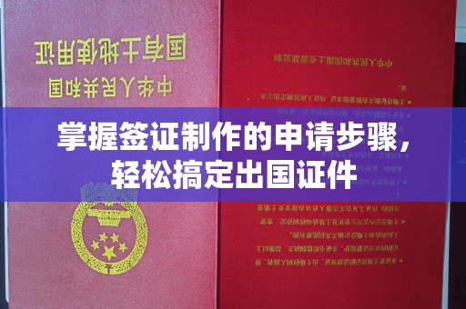 新民掌握签证制作的申请步骤，轻松搞定出国证件