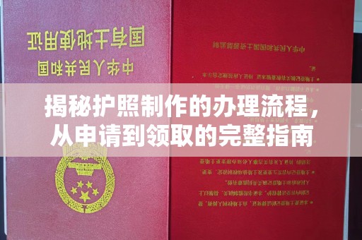 新民揭秘护照制作的办理流程，从申请到领取的完整指南