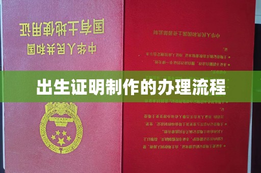 新民出生证明制作的办理流程