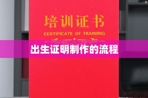 新民出生证明制作的流程