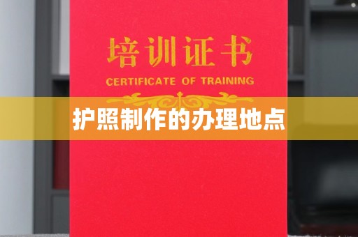 新民护照制作的办理地点